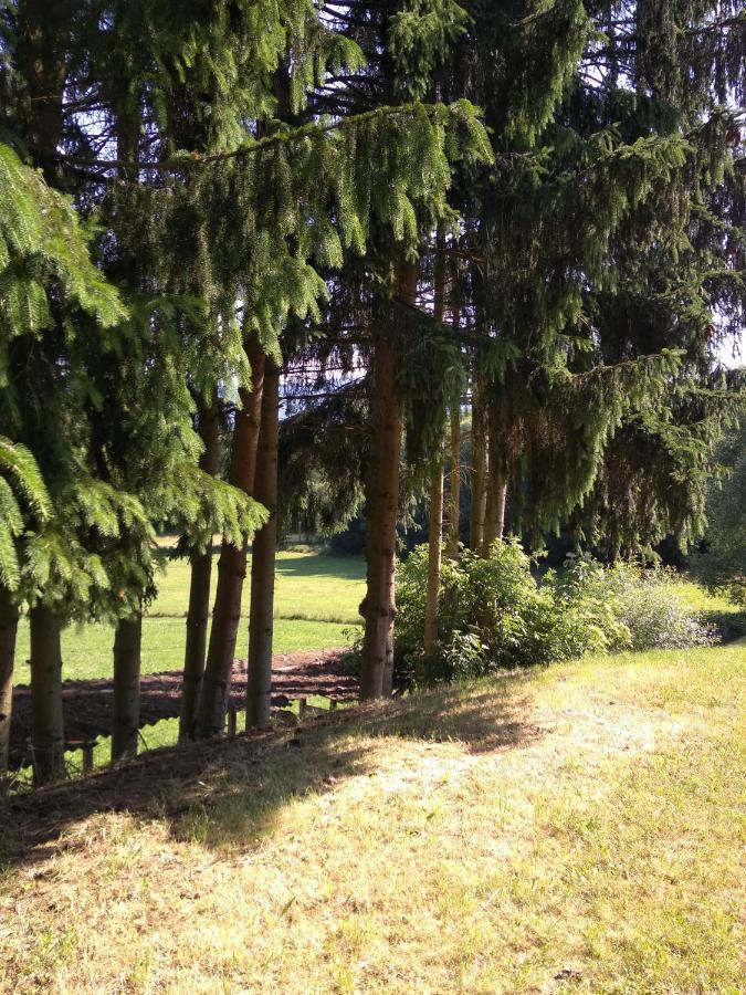 Wohnungen- Christopherhof Mj,Grafenwiesen Номер фото